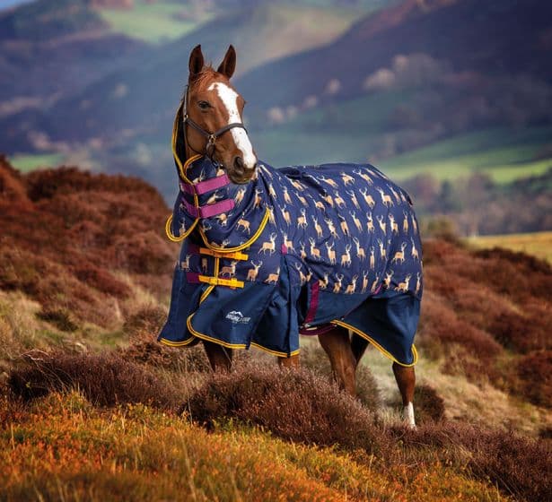 Blog Best Horse Rugs Light, Medium, Heavy Weight Chelford