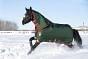 Horseware Limited Edition Rambo Duo Turnout Rug Green / Red
