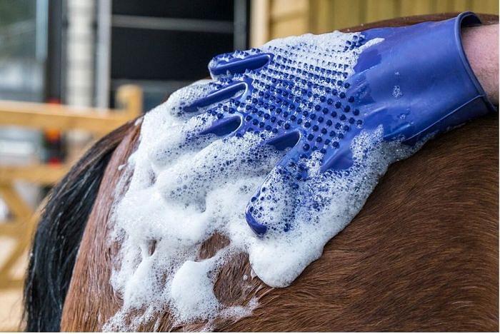 LeMieux Hippo Wash Mitt Blue