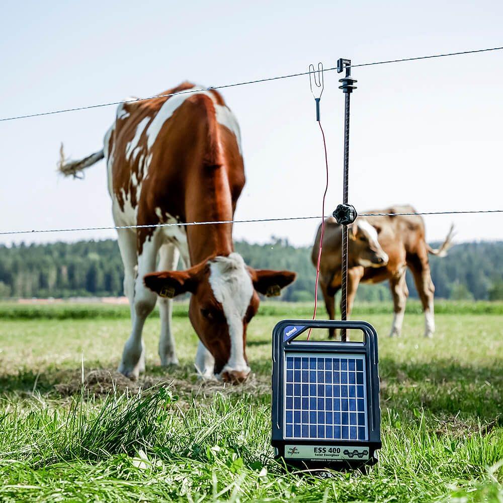 Rutland ESS 400 Solar-Powered Electric Fencing Energiser