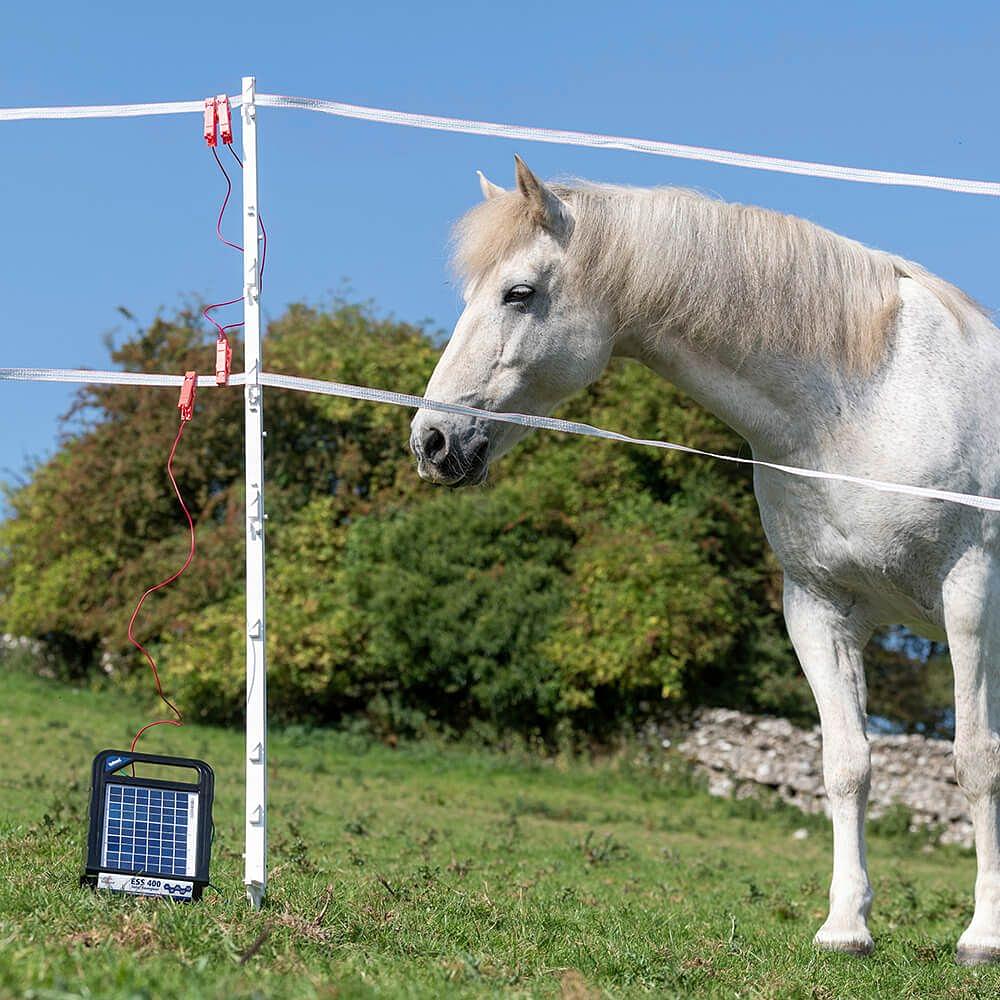 Best electric fence energisers for horses