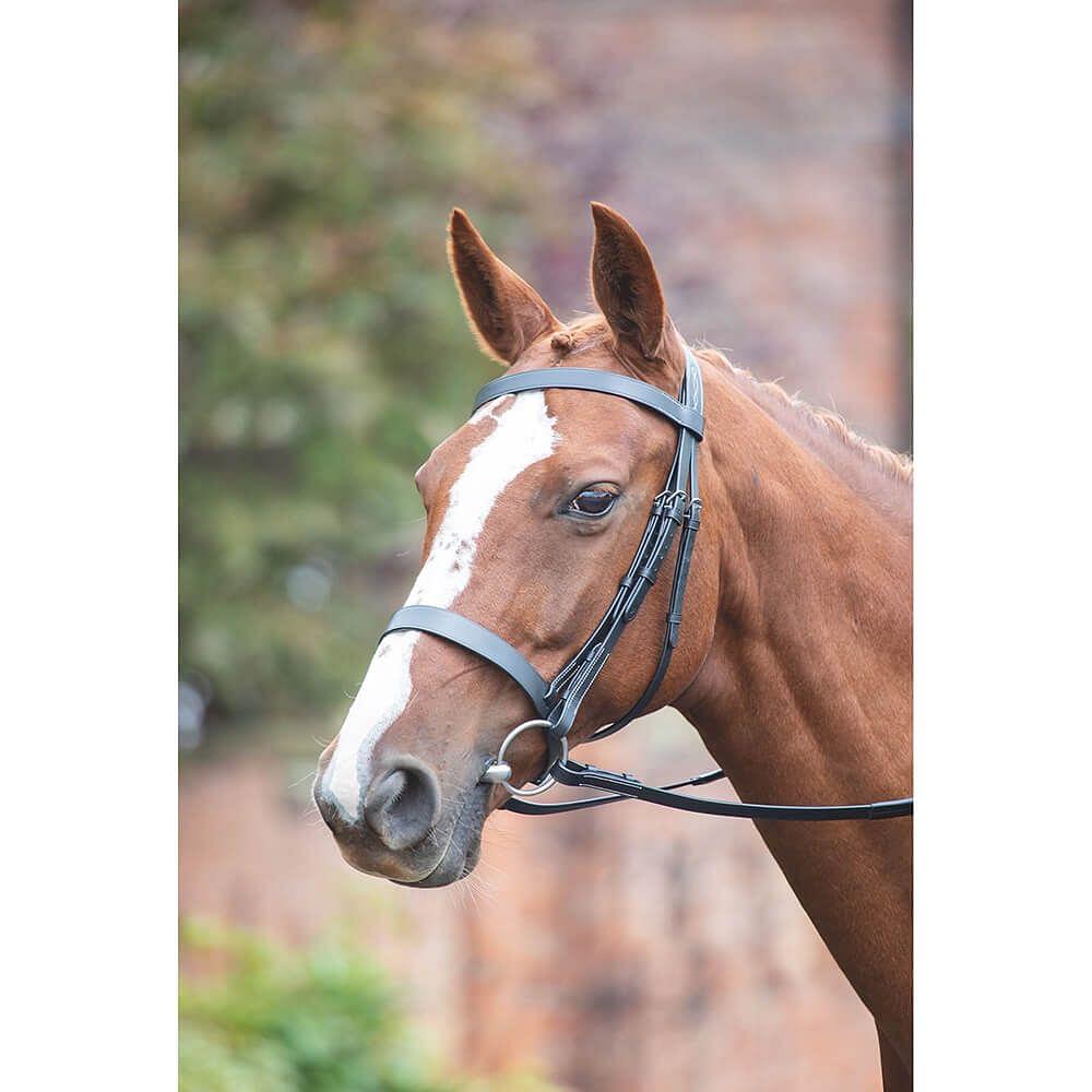 Shires Avignon Hunter Cavesson Bridle | Chelford Farm Supplies