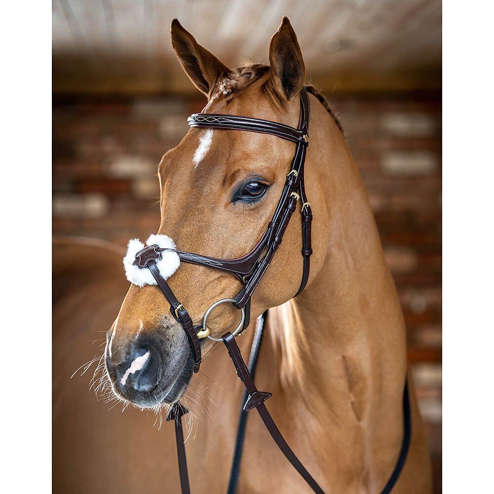 Lemieux Grackle Bridle Chelford Farm Supplies