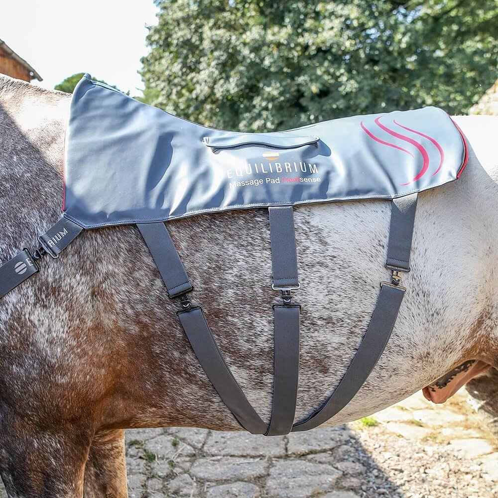 Equilibrium Horse Massage Pad, 2 Year Guarantee