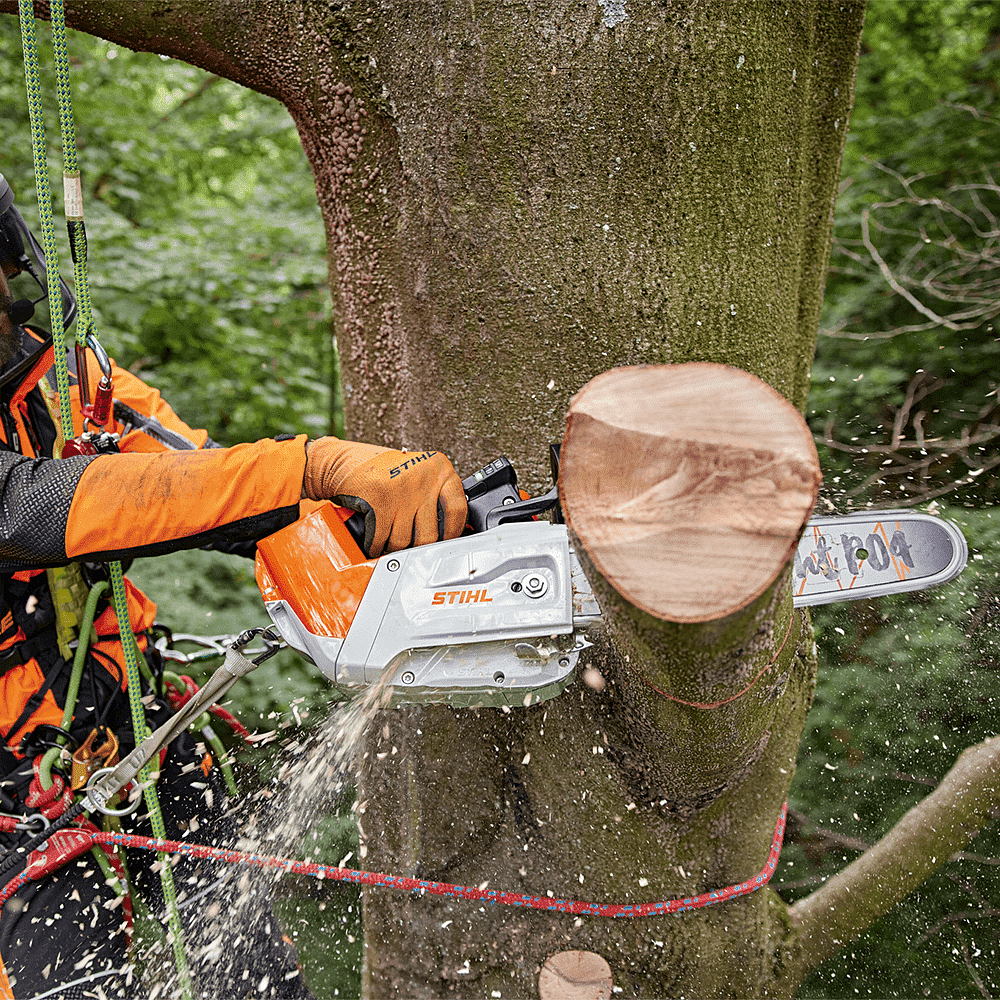 Stihl 220 cheap battery chainsaw