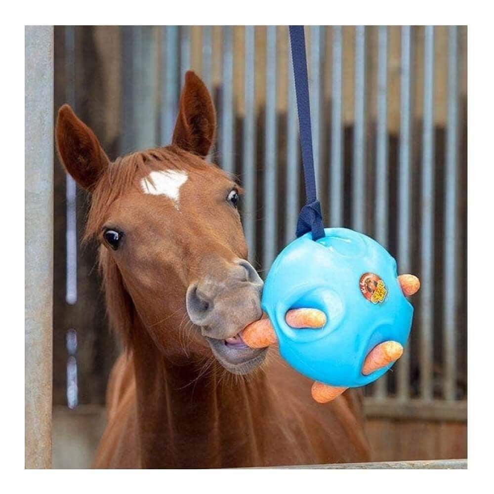 Horse new arrivals carrot ball