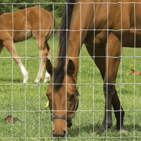 Hampton NET™ Horse and Foal Fencing 12/107/7.5 100m | Chelford Farm ...