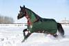 Horseware Limited Edition Rambo Duo Turnout Rug Green / Red