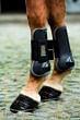 Horseware Amigo Tendon Boots Black / Charcoal