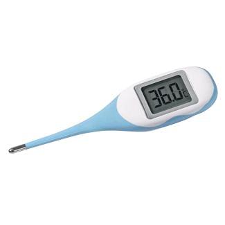 Kerbl Digital Thermometer