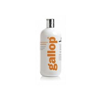Carr & Day & Martin Gallop Conditioning Shampoo 500ml