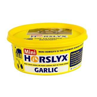 Horslyx Garlic Mini Horse Lick 650g