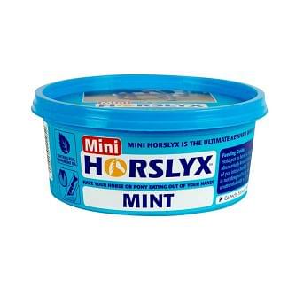 Horslyx Mint Mini Horse Lick 650g