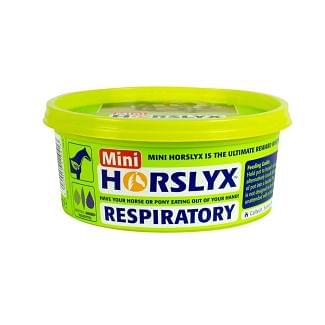 Horslyx Respiratory Mini Horse Lick 650g