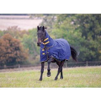 Shires Tempest Original Heavy Combo Turnout Rug 300g Navy