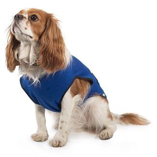 Ancol Dog Cooling Coat Blue