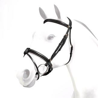 Equipe Emporio Rolled Browband Flash Bridle Brass Fittings - Chelford Farm Supplies