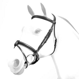 Equipe Emporio Rolled Browband Flash Bridle Silver Fittings - Chelford Farm Supplies