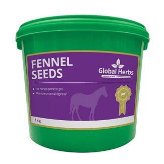 Global Herbs Fennel 1kg - chelford Farm Supplies 