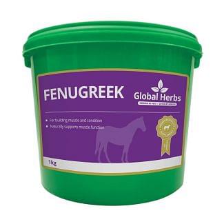 Global Herbs Fenugreek 1kg - Chelfrod Farm Supplies 