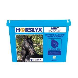 Horslyx Mint Horse Lick Refill 5kg - Chelford Farm Supplies