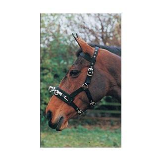Hy Equestrian Lunge Cavesson - Chelford Farm Supplies
