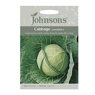 Johnsons Cabbage Langedijk 4 Seeds