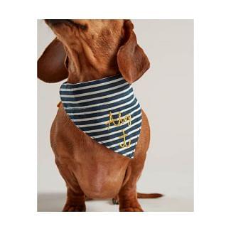 Joules Nautical Dog Collar & Neckerchief - Chelford Farm Supplies