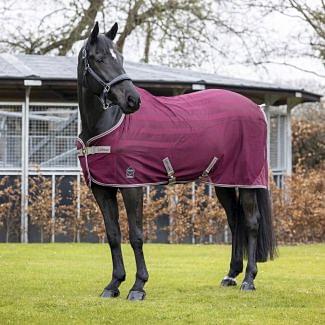 LeMieux Arika Air-Tek Sheet Horse Rug Burgundy - Chelford Farm Supplies