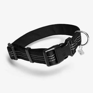 LeMieux Henley Webbing Dog Collar-Black