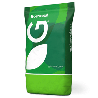Germinal Popular Lawn Seed with Ryegrass 