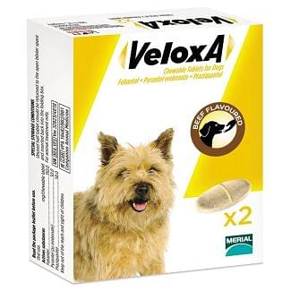 VeloxA Chewable Dog Wormer Tablets  - Chelford Farm Supplies