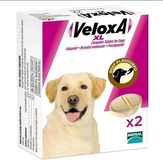 VeloxA Chewable Dog Wormer Tablets XL - Chelford Farm Supplies