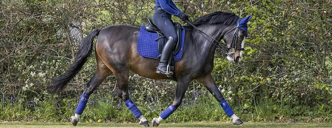 LeMieux Matchy Sets for Horse & Rider