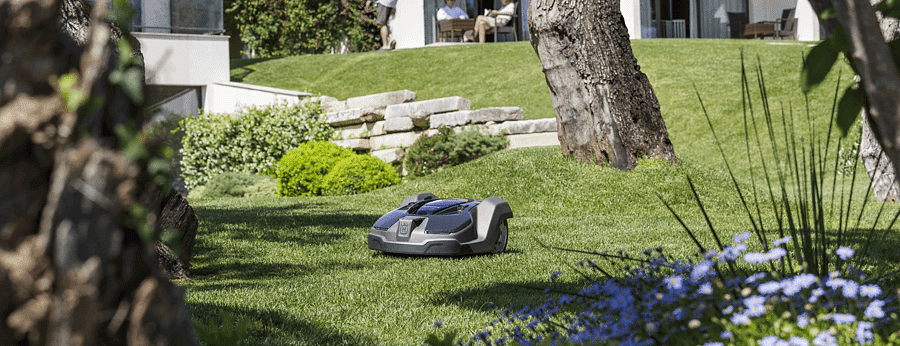 Roomba shop for lawn