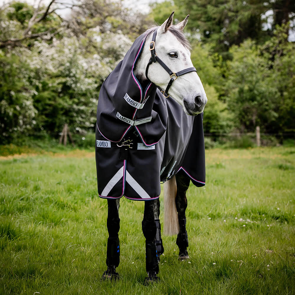 Rambo Rugs Horse Rugs That Last Chelford Farm Supplies