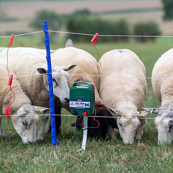 Blog Why Is My Electric Fence Not Working?