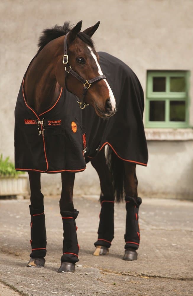 Blog The Horseware Rambo Ionic & SportzVibe Range Is Here!