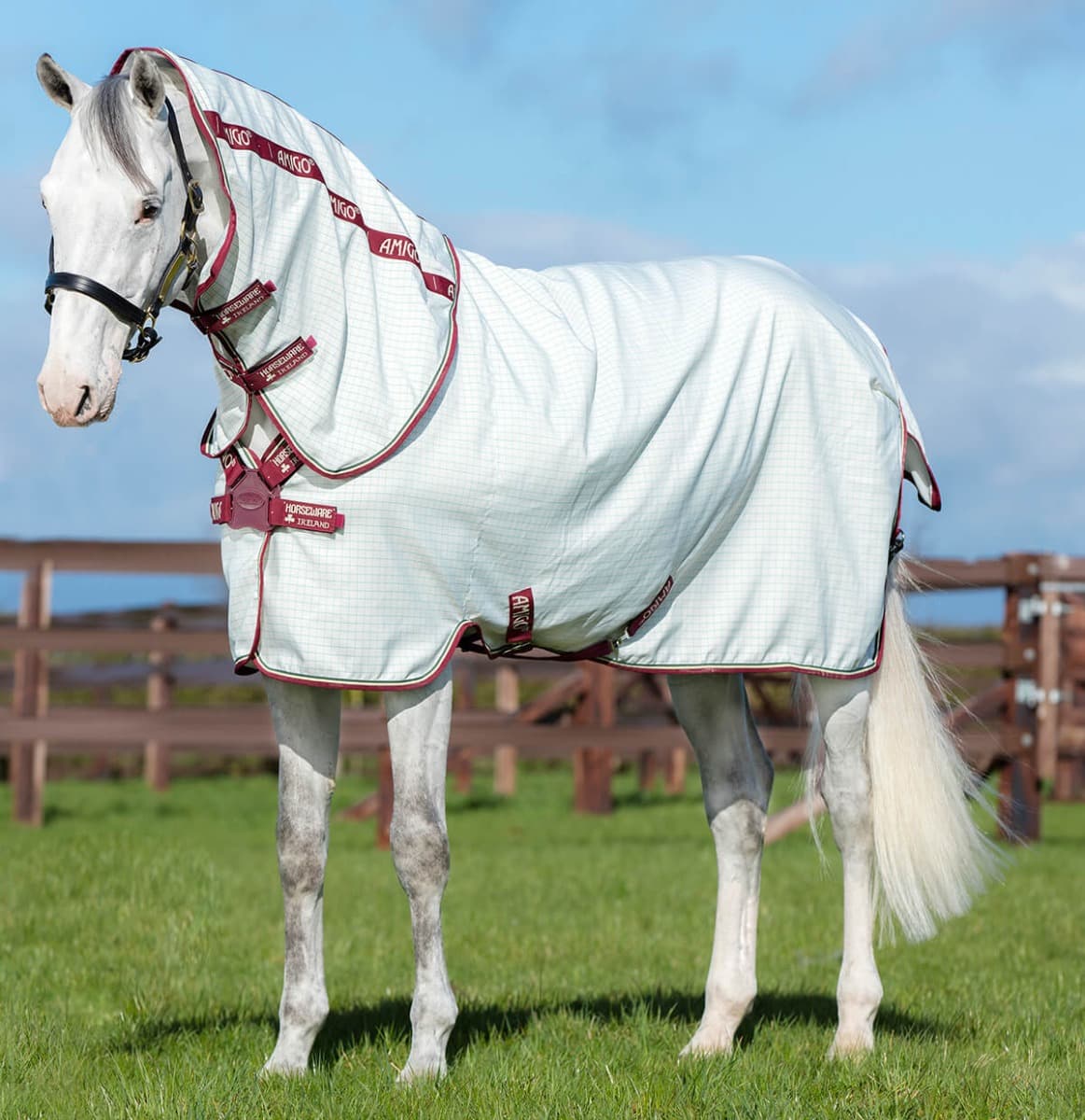Blog Best Fly Rugs For Horses Chelford Farm Supplies