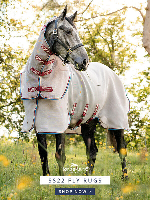 Fly Rugs For Horses