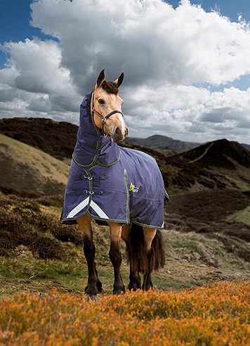 Shires Heavy Turnout Rugs