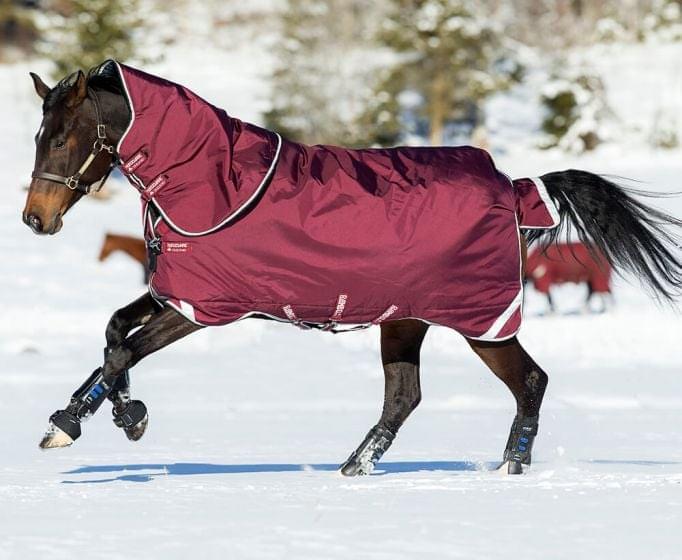 Blog Best Horse Rugs Light, Medium, Heavy Weight Chelford