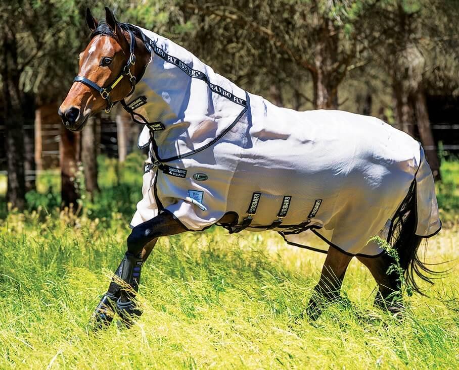 Blog Best Fly Rugs For Horses Chelford Farm Supplies
